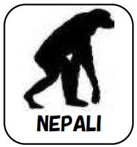 ネパール語　サバイバル・フレーズブック　Survival NEPALI　　語学の道は一日にして成らず・・・　だけど今すぐ必要だという皆様のための、ライフジャケットのような緊急性と利便性を備えた、ネパール語会話集