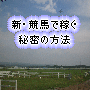 新・競馬で月２０万稼ぐ秘密の方法【人気と馬柱だけでかんたんにできる必勝法】
