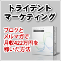 トライデントマーケティング【ブログとメルマガで月収422万円を稼いだ方法】