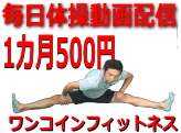 ワンコインフィットネス（一ヶ月５００円で毎日体操動画配信）