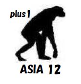 サバイバル・フレーズブック　アジア１２ヶ国語プラスワン　Survival PHRASEBOOK  ASIA 12 plus ONE　　語学の道は一日にして成らず・・・　だけど今すぐ必要だという皆様のための、ライフジャケットのような緊急性と利便性を備えた、アジア１２ヶ国語会話集