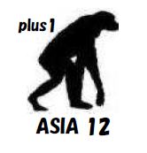 サバイバル・フレーズブック　アジア１２ヶ国語プラスワン　Survival PHRASEBOOK  ASIA 12 plus ONE　　語学の道は一日にして成らず・・・　だけど今すぐ必要だという皆様のための、ライフジャケットのような緊急性と利便性を備えた、アジア１２ヶ国語会話集