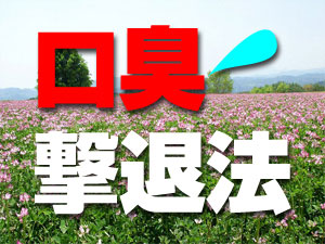 どんな口臭も良くなる専門医もびっくりの口臭撃退マニュアル
