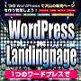 WordPress Landingpage