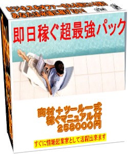 即日稼ぐ超最強パック