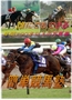 誰にでもできる!!同じ結果が出せる!!3つの法則で簡単競馬塾~2年連続1000万円オーバーの払戻金を受け取るのは、あなたです~