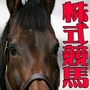 【完全数量限定・１０万円返金保証付版】なんで今まで無かったの？株式投資の手法を競馬に応用したら、こうなった！■株式競馬■