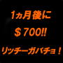 アドセンスで1ヵ月後に$700/月を稼いだ秘訣を公開!その名もリッチーガバチョ!