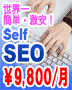 �j�b�`�ȃL�[���[�h�Ɍ����ȒPSEO�ISelf SEO 9800�~/����