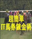 ４００万馬券的中ノウハウ特典付！資金７５０倍法！誰も気付かなかったJRAVANデータマイニング投資の極意！