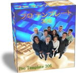 プロ テンプレート 306:Pro Templates 306