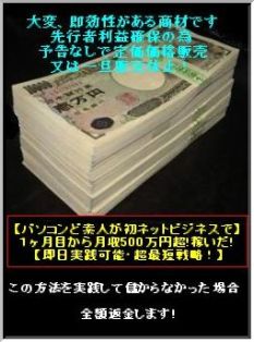 知識・資金・経験・一切不要！【即日実践可能・超最短戦略！】パソコンど素人が初ネットビジネスで【１ヶ月目から月収500万円超!稼いだ!】