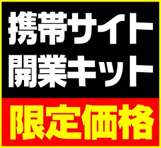 誰もが確実に広告収入を得ることができる！『携帯サイト開業キット』
