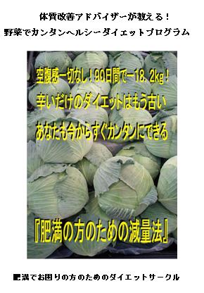90日間でー18.2kg!肥満の方のための減量法!体質改善アドバイザーが教える。野菜でヘルシーダイエットプログラム