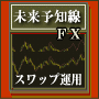 未来予知線FXスワップ運用の実践