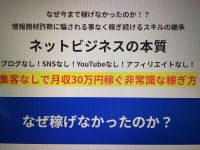 ネットビジネスの本質〜あなたが稼ぐ為には〜