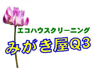 ハウスクリーニング開業完全マニュアル