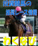 投資競馬の推奨レース情報『わくなび』