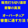 ☆新ガイドライン対応☆目玉が飛び出るほどスイスイ通る！オーバーチュア『未承諾』審査攻略術