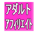 アダルトドロップシッピング完全マニュアル＆アダルトアフィリエイトハイブリッドシステム