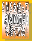 ＳＮＳを利用して月収 100万円を稼ぐ方法
