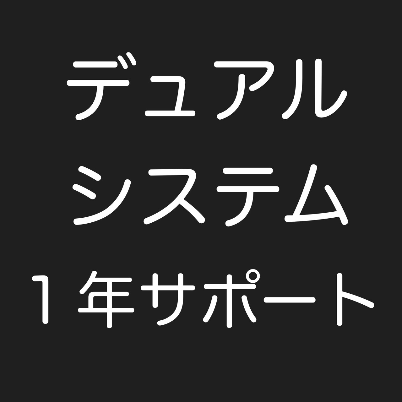 デュアルシステム１年サポート