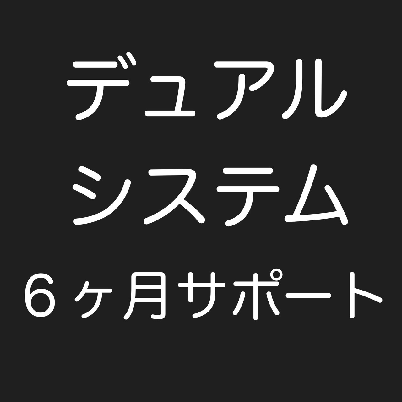 デュアルシステム６ケ月サポート