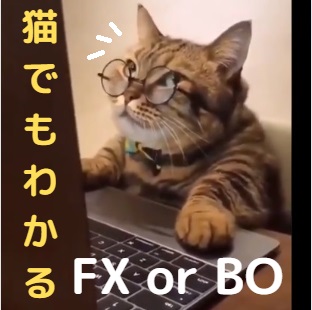 猫でもわかるFXorBO
