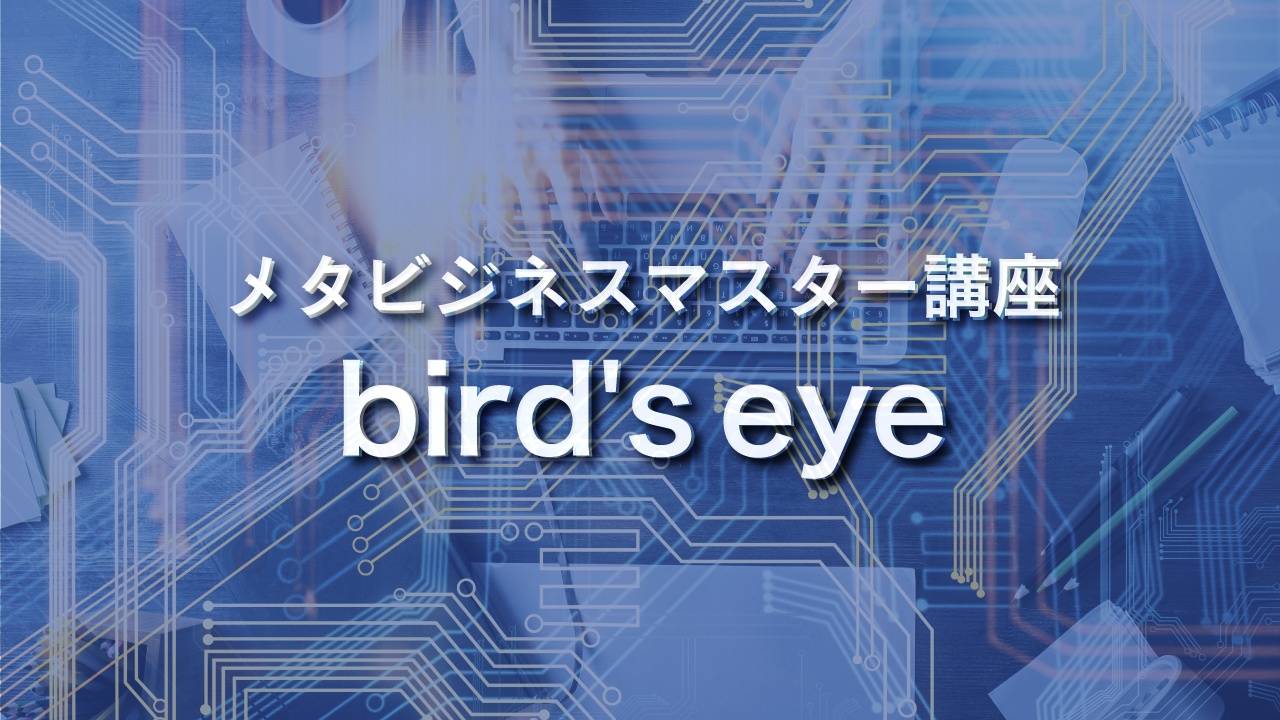 メタビジネスマスター講座『bird's eye』(IT_ev)
