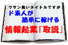~いかにもウサンくさいタイトルでごめんなさい~本当にド素人が本当に簡単に本当に月30万円から稼げる非常識な常識情報ビジネス『情報起業ビギナー挑戦成功必至マニュアル』