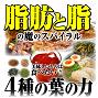 薬屋が開発したダイエットティー「黒の奇跡」30包×6袋に30包×2袋おまけの激安スペシャルセット