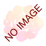Ѹޥƥåȥޥ˥奢()