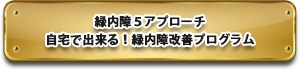 緑内障５アプローチ　自宅で出来る！緑内障改善プログラム