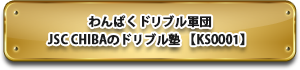 わんぱくドリブル軍団JSC CHIBAのドリブル塾 【KS0001】