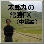 【太郎丸の常勝ＦＸ－Ⅱ（中級編）】通常版 有限会社　エイ･エヌ･イー 情報商材 レビュー 評価サイト InfoKnowledge