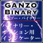 ＧＡＮＺＯ　Ｂｉｎａｒｙ