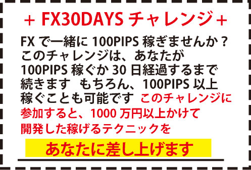 FX30DAYSチャレンジ