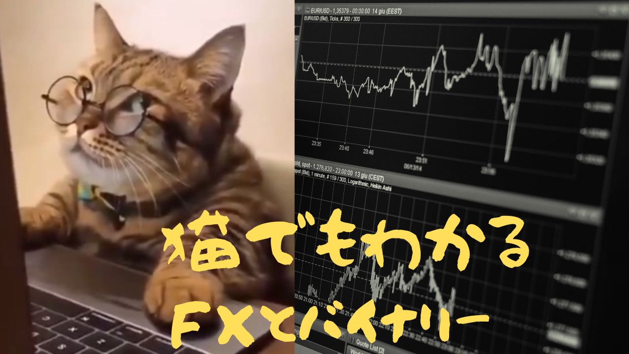 猫でもわかるFXorBO