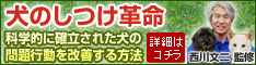 犬のしつけ革命 公式サイトはコチラ