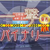 【◆本日、大幅値上げ】一撃バイナリー(制限解除版)の画像
