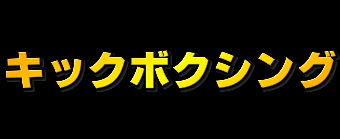 ザ ベーシック キック マスター11