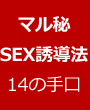 ieLogij }SEXU@E14̎