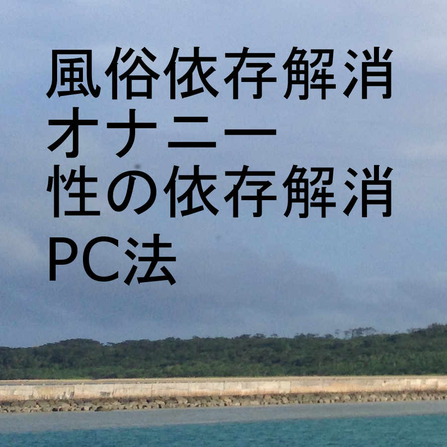 風俗と性の依存症解消法　ＰＣ法