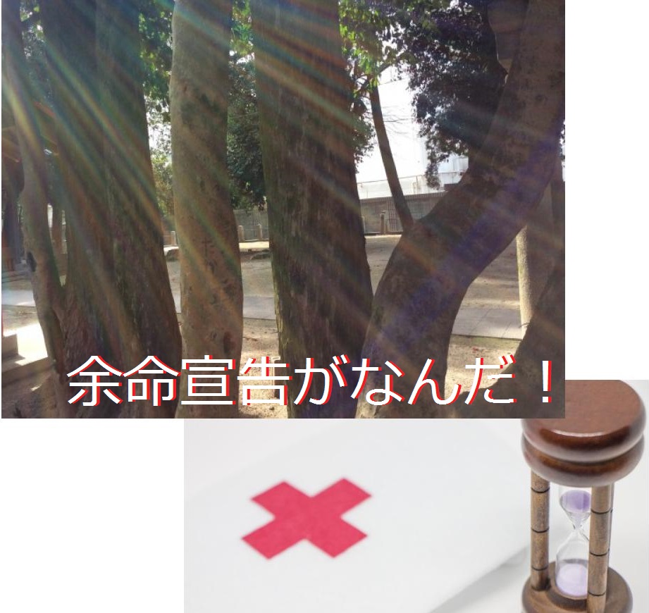 余命宣告がなんだ！ 病を自力で克服したい人に贈る 『引き算の栄養学』とその手順