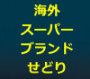 海外スーパーブランドせどり＜極-kiwami-＞α