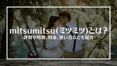 mitsumitsu(ミツミツ)とは？評判や特徴、料金や使い方などをご紹介！