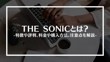 THE SONIC(ザ・ソニック)とは？特徴や評判、料金や購入方法、注意点を解説