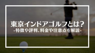 東京インドアゴルフとは？特徴や評判、料金や注意点を解説